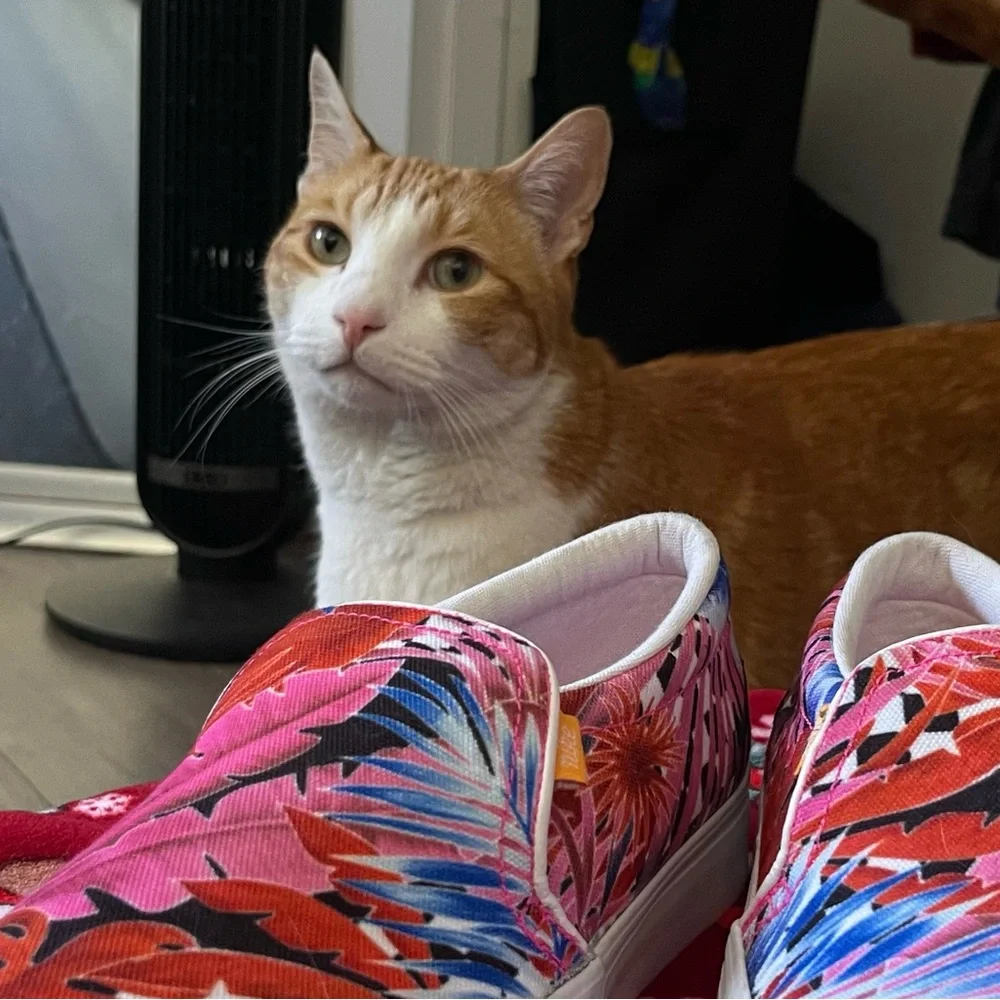 Nike Pink and Blue Floral Slip-On Cat Toy Shoes - Picture 1 of 4